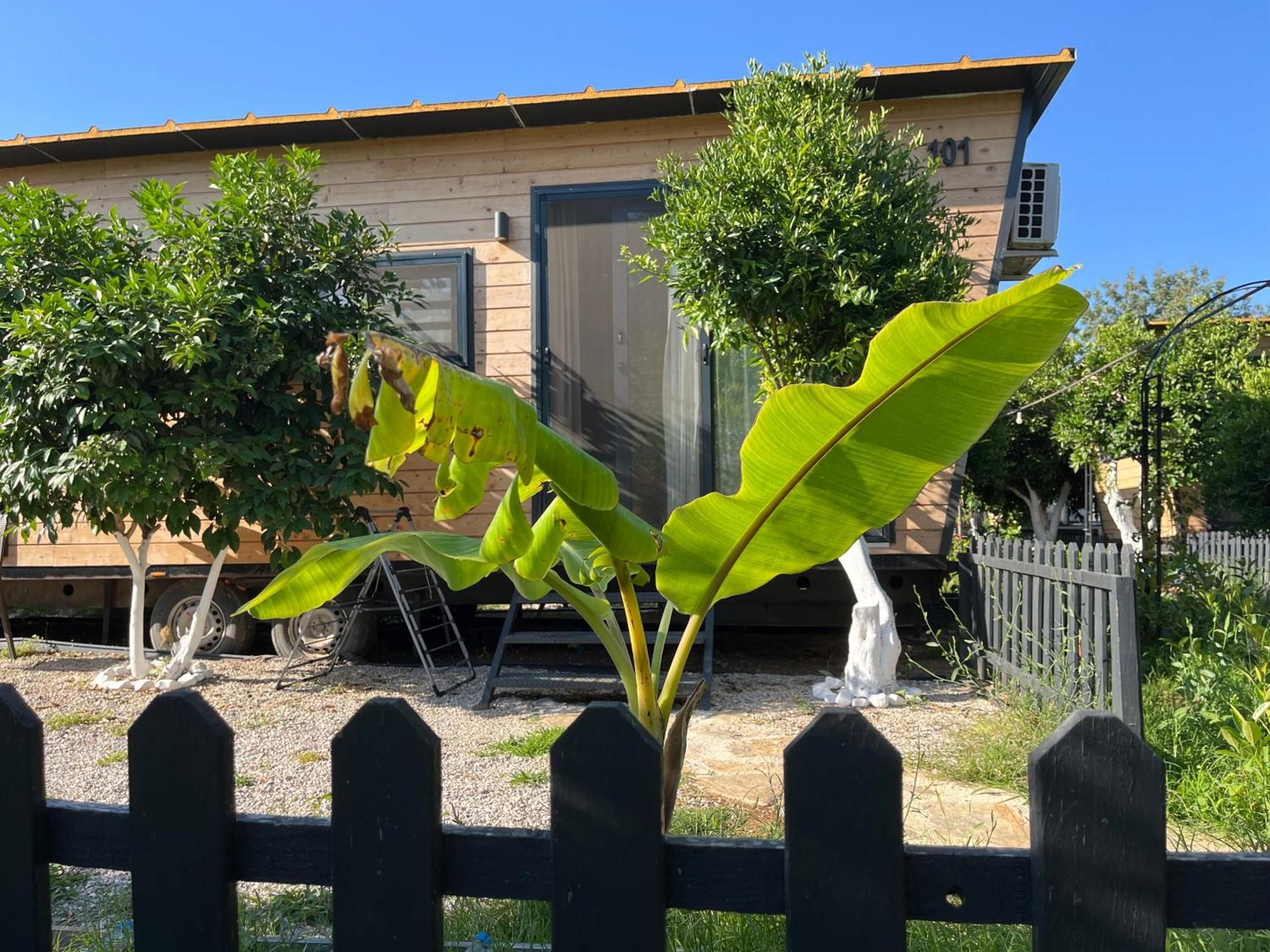 Gaia Tiny Houses Butik Hotel Bodrum Exterior photo